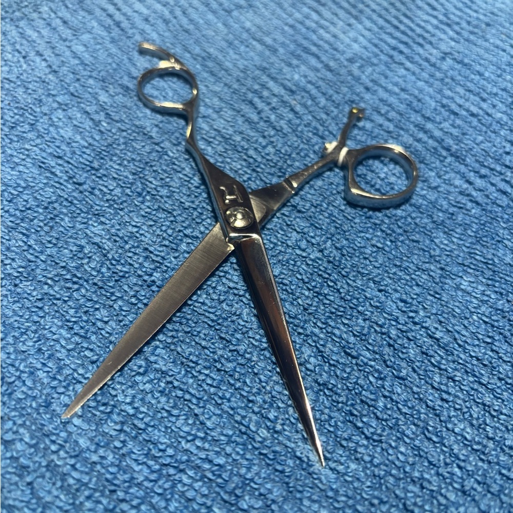 Hattori Hanzo HH3 Ayako professional hairstylist  shears scissors